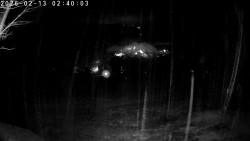 Údolí Dolní Dvůr