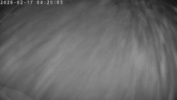 Údolí Dolní Dvůr