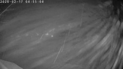 Údolí Dolní Dvůr