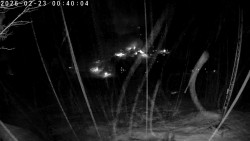 Údolí Dolní Dvůr