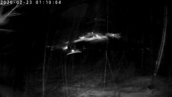 Údolí Dolní Dvůr