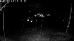 Údolí Dolní Dvůr