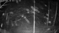 Údolí Dolní Dvůr