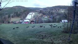 Údolí Dolní Dvůr