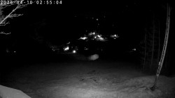 Údolí Dolní Dvůr