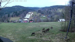 Údolí Dolní Dvůr