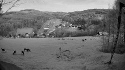 Údolí Dolní Dvůr