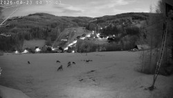 Údolí Dolní Dvůr