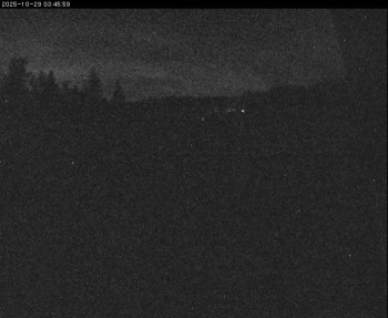 Snímek    29.10.2025 v 00:30