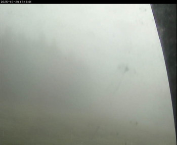 Snímek    29.10.2025 v 10:00