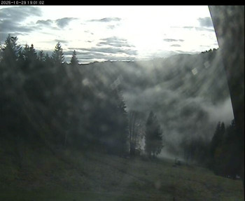 Snímek    29.10.2025 v 15:45