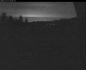 Snímek    31.10.2025 v 00:15