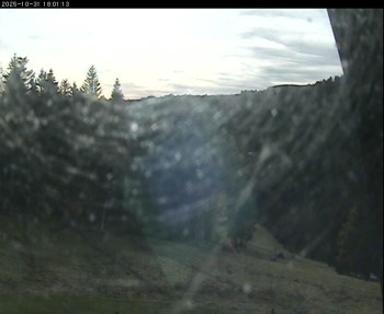 Snímek    31.10.2025 v 14:45