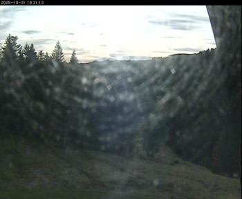 Snímek    31.10.2025 v 15:15