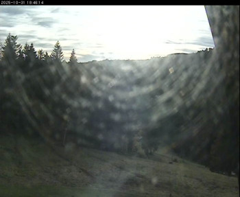 Snímek    31.10.2025 v 15:30