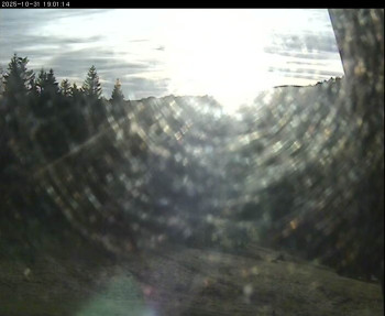 Snímek    31.10.2025 v 15:45