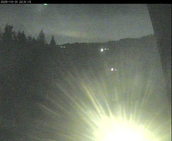 Snímek    31.10.2025 v 19:15