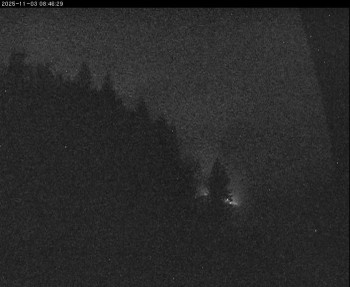 Snímek 3.11.2025 v 05:30