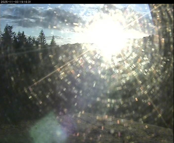 Snímek    3.11.2025 v 16:00