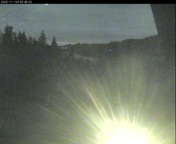 Snímek    3.11.2025 v 21:30