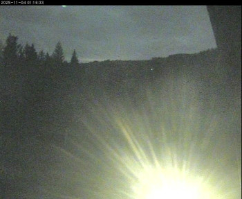 Snímek    3.11.2025 v 22:00