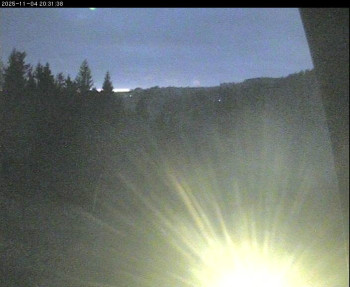 Snímek 4.11.2025 v 17:15