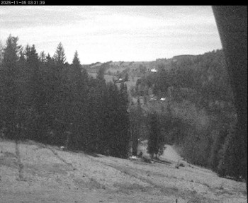 Snímek 5.11.2025 v 00:15