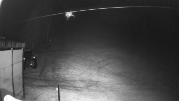 Snímek    29.10.2025 v 00:02