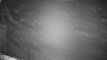 Snímek 6.11.2025 v 00:32