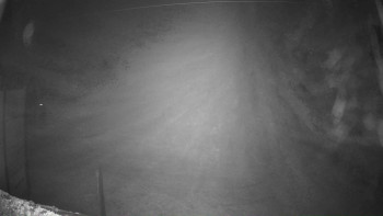 Snímek 6.11.2025 v 00:46