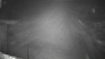 Snímek 6.11.2025 v 01:02