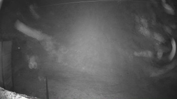 Snímek 6.11.2025 v 02:46