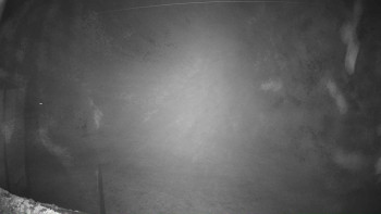 Snímek 6.11.2025 v 03:16