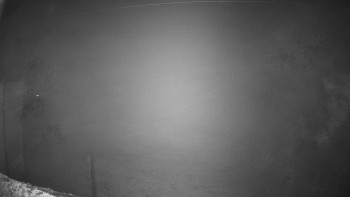 Snímek 6.11.2025 v 03:46