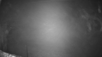 Snímek 6.11.2025 v 04:16