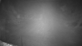 Snímek 6.11.2025 v 04:32