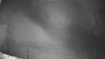 Snímek 6.11.2025 v 22:46