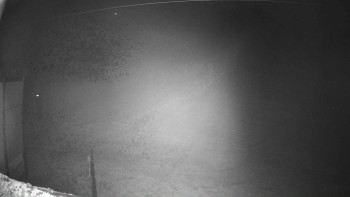 Snímek 7.11.2025 v 00:01