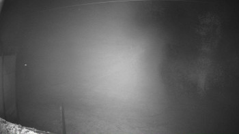 Snímek 7.11.2025 v 00:46