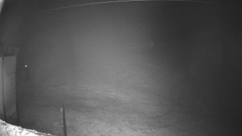 Snímek 7.11.2025 v 01:02