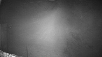 Snímek 7.11.2025 v 01:32