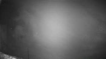 Snímek 7.11.2025 v 02:01