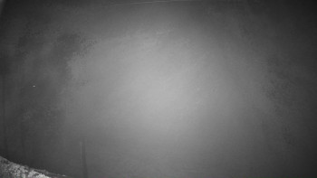 Snímek 7.11.2025 v 02:16