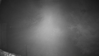 Snímek 7.11.2025 v 02:46