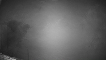 Snímek 7.11.2025 v 03:46