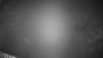 Snímek 7.11.2025 v 04:46