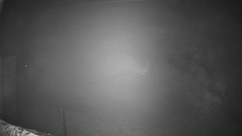 Snímek 7.11.2025 v 06:16