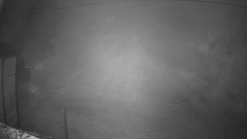 Snímek 7.11.2025 v 06:32