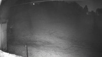 Snímek 7.11.2025 v 18:31