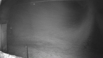 Snímek 7.11.2025 v 22:46